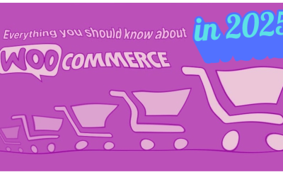 Why WooCommerce Is the Best Platform for Dropshipping in 2025 (And How to Get Started)